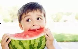 哪可以看秃崽吃瓜视频啊,揭秘秃崽吃瓜视频观看攻略