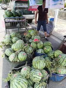 韩城百姓吃瓜事件视频,一场引发热议的网络狂欢