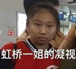 动物看戏吃瓜视频