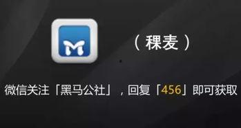 吃瓜视频随便传播违法吗,警惕网络谣言的传播风险