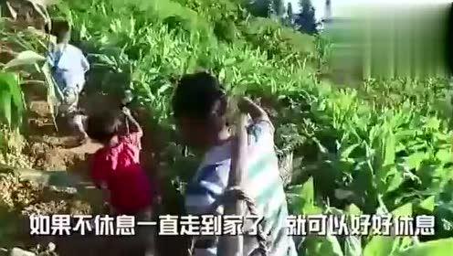 边关浪子吃瓜视频,揭秘幕后故事，带你领略军旅生活