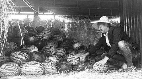 承德吃瓜群众事件视频,揭秘网络围观背后的真相