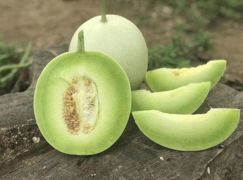 饭前吃玉菇瓜好不好呢视频,营养美味两不误