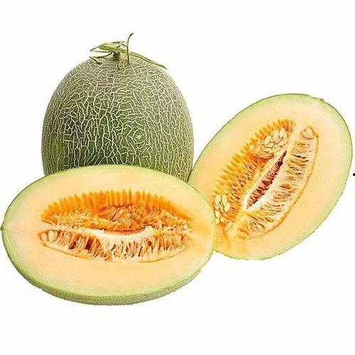 吃哈密瓜胖四斤吗视频,吃哈密瓜真的会胖四斤吗？