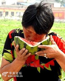 吃瓜老太太视频